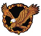 EAGLE RING OF FIRE PATCH