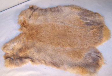 BROWN NATURAL RABBIT SKIN PELT