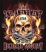 2ND AMENDMENT USA SHORT SLEEVE TEE SHIRT