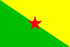 GUIANA COUNTRY 3' X 5' FLAG - CLOSEOUT $ 2.50 EA