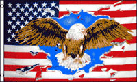 AMERICAN EAGLE 3' X 5' FLAG