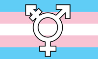 TRANSGENDER SYMBOLS 3X5 PRIDE FLAG *- CLOSEOUT NOW $ 2.95 EA