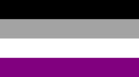 ASEXUAL PRIDE 3 X 5 FLAG