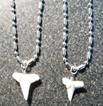 STAINLESS STEEL NECKLACE W REAL SHARK TOOTH PENDANT