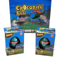 HATCHING & GROWING CROCODILE EGGS *- CLOSEOUT 50 CENTS  EA