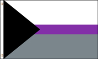 DEMISEXUAL PRIDE 3 X 5 FLAG