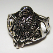 EAGLE SITTING ON BRANCHES BIKER RING