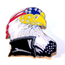 EAGLE HEAD HAT / JACKET PIN *- CLOSEOUT NOW 50 CENTS EA