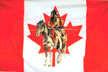 CANADIAN INDIAN ON HORSE 3 X 5 FLAG