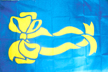 BLUE YELLOW RIBBON FLAG