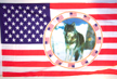 USA SINGLE WOLF CIRCLE FLAGS