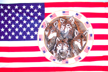 USA FOUR WOVES CIRCLE 3 X 5 FLAG