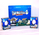 HATCHEM GROWING TURTLE EGGS