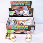 HATCH'EM GROWING LIZARD EGGS