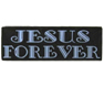 JESUS FOREVER HAT/ JACKET PIN'S