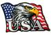 AMERICAN USA FLAG EAGLE HEAD 4 IN EMBROIDERED PATCH