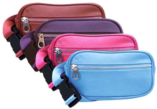 Fanny Pack - LBLU, PK, PP, RD  CLOSEOUT $4.50