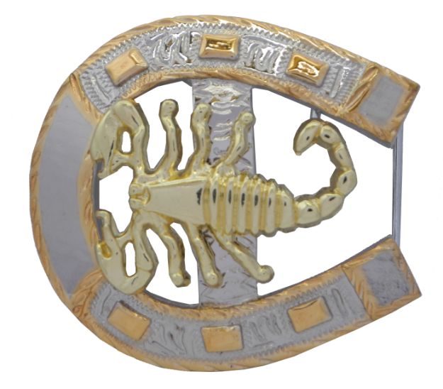 HorseSHOE scorpion buckle