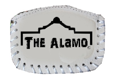 Coin PURSE The Alamo