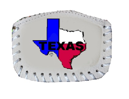 Coin PURSE Texas Map