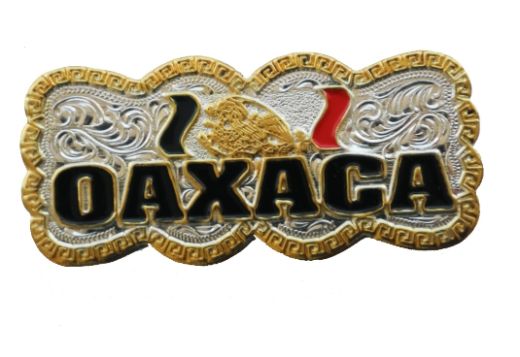 Oaxaca Concho Mx FLAG