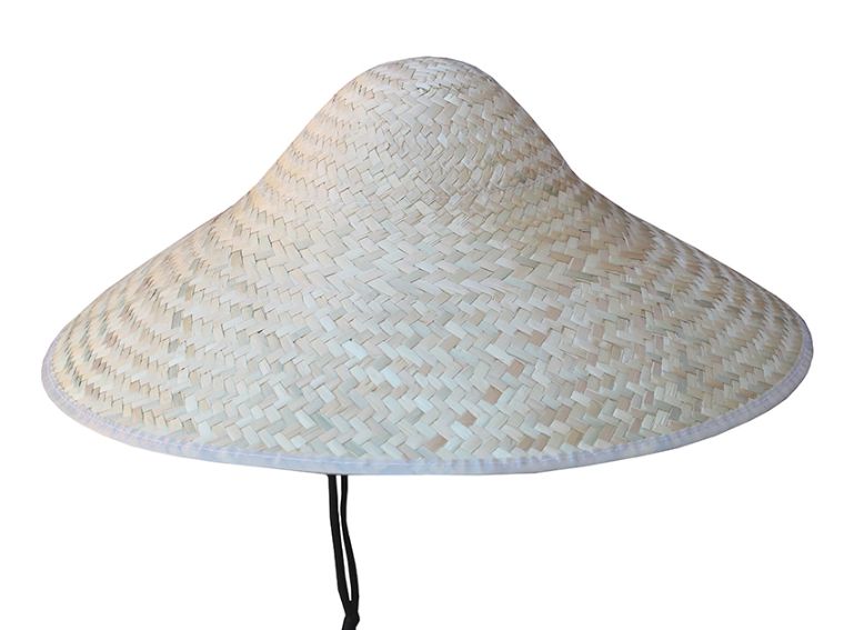 Palm Leaf Japanese HAT Natural