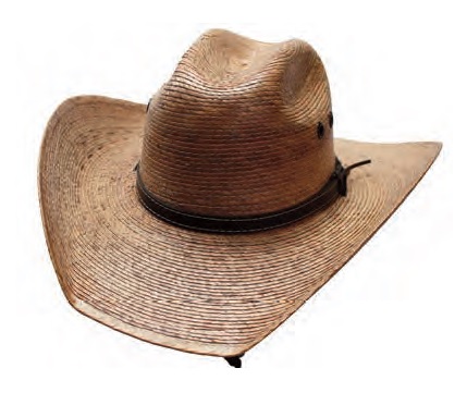Burnt Chihuahua Palm hat
