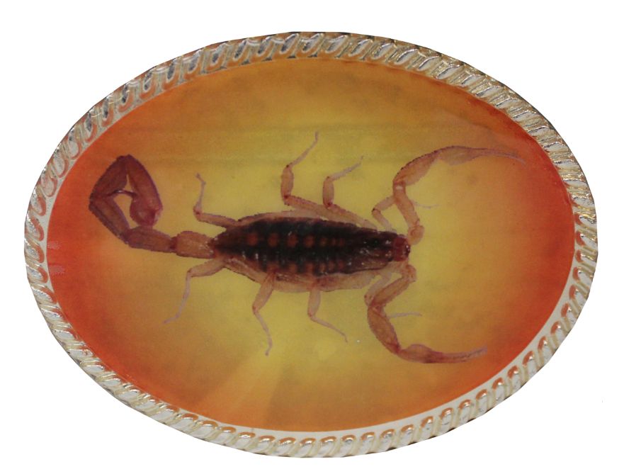 BUCKLE, Scorpion