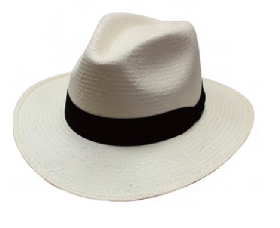 Indiana Panama HAT