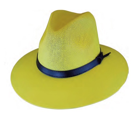 HAT, Explorer Yellow