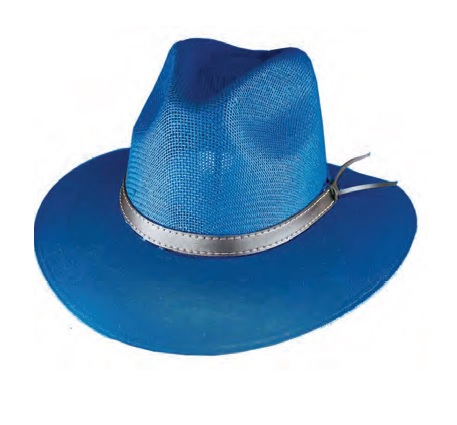 HAT, Explorer Blue