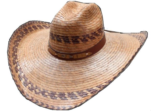 HAT, Chihuahua Palm Leaf Speedy