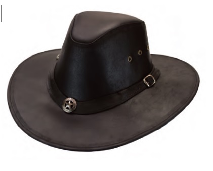 Star Concho HATband