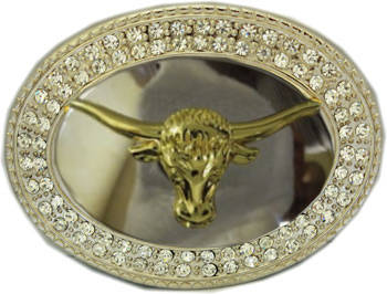 Longhorn  Mirror BUCKLE