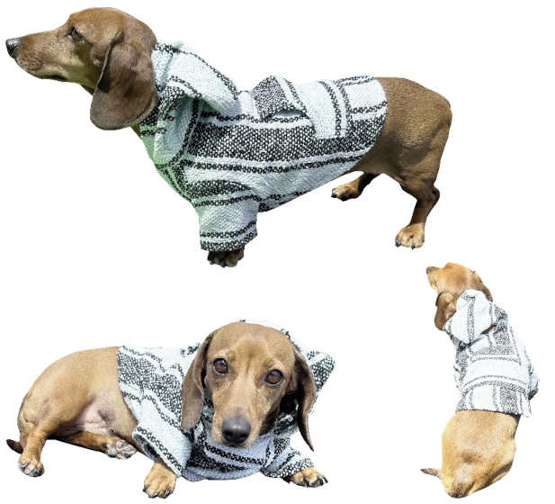 Dog Baja HOODIES