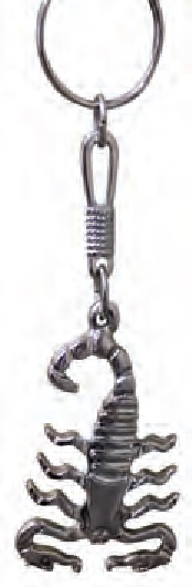 Scorpion metal Key-chain