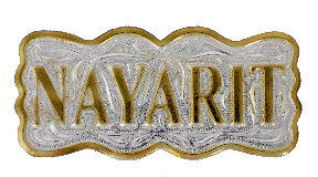Nayarit Concho