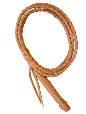LEATHER Whip