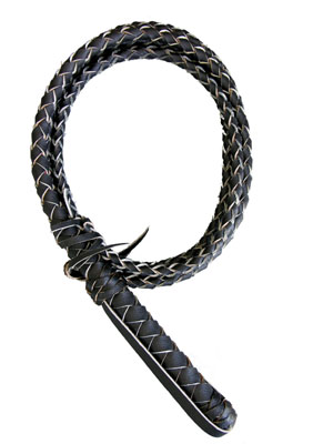 LEATHER Whip