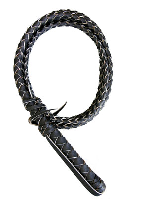 Leather Whip