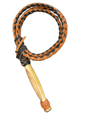 Leather Whip