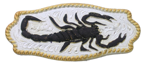 Scorpion Black Concho