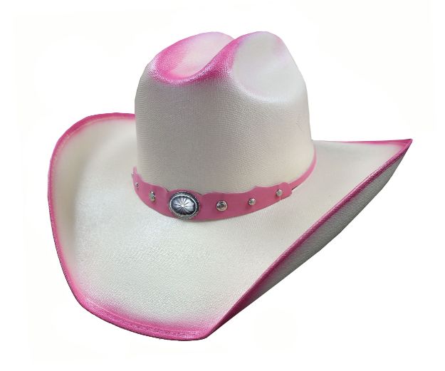 2 Tone/ Pink COWBOY HAT