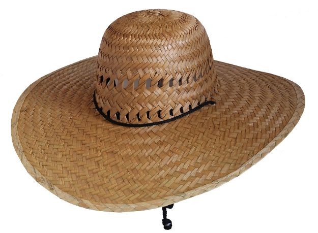 Susy Burnt Palm Leaf Hat
