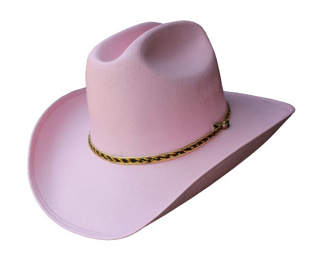 Child's Cowboy Pink Canvas HAT