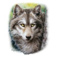 T-shirt Animals Wolf ''FOREST WATCH''