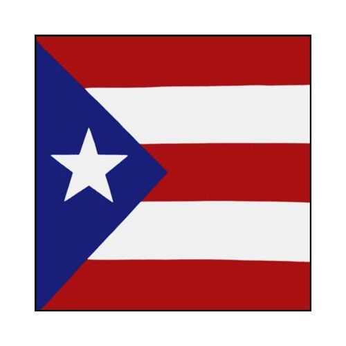 BANDANA / Handkerchief 22'' x 22'' Fashion Puerto Rico Flag Design