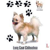 Apparel T-shirts Art Animals Dogs:''Long COAT Chihuahua''