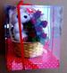 GIFT Teddy Bear w/Flower in BASKET in PVC Box.