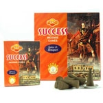 SAC SUCCESS CONES  10 CONES PACK (12/BOX)